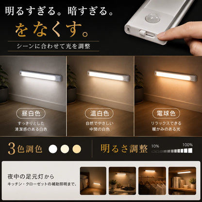 【本日終了間近！No.1獲得】Smart Jinkan Light™ 20cm 充電式